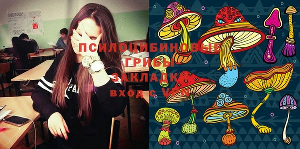 экстази Козловка