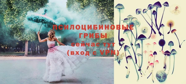 кокс Корсаков