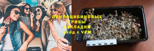 прущая мука Костерёво