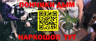 прущие грибы Балаково