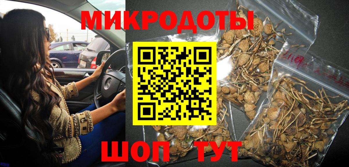 Псилоцибиновые грибы Cubensis Комсомольск-на-Амуре