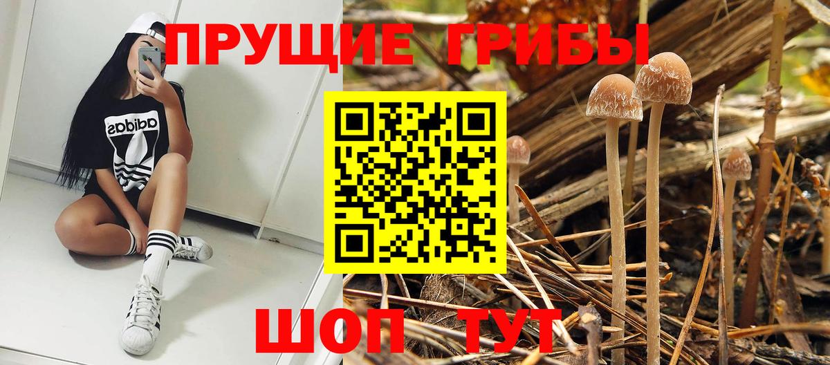 Галлюциногенные грибы мицелий Комсомольск-на-Амуре