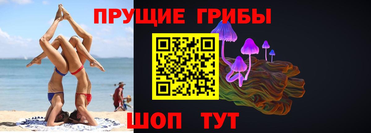 Псилоцибиновые грибы Cubensis  Вход с VPN  Комсомольск-на-Амуре 